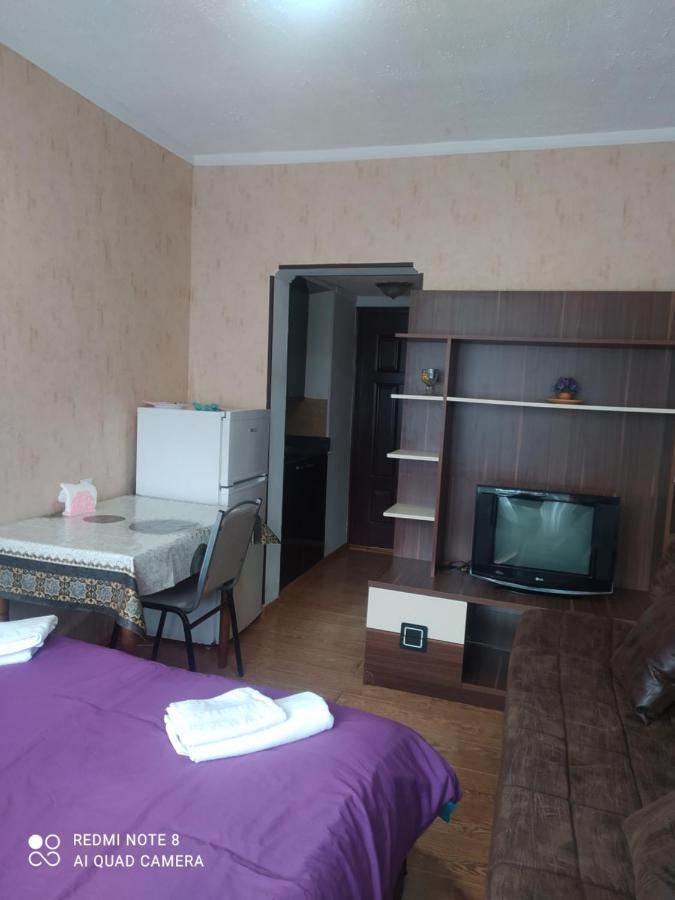 Alena'S Flat Apartment Borjomi Ngoại thất bức ảnh