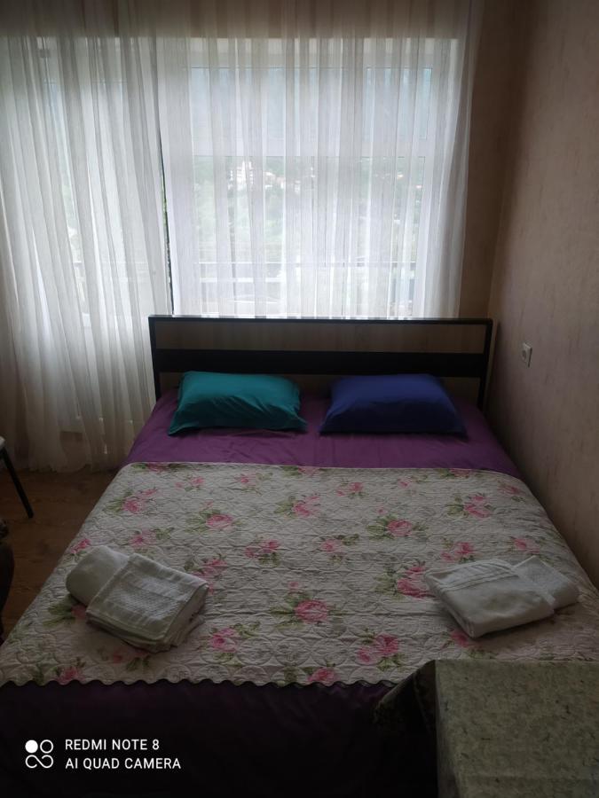 Alena'S Flat Apartment Borjomi Ngoại thất bức ảnh