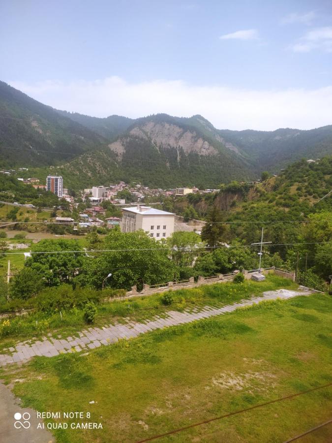 Alena'S Flat Apartment Borjomi Ngoại thất bức ảnh