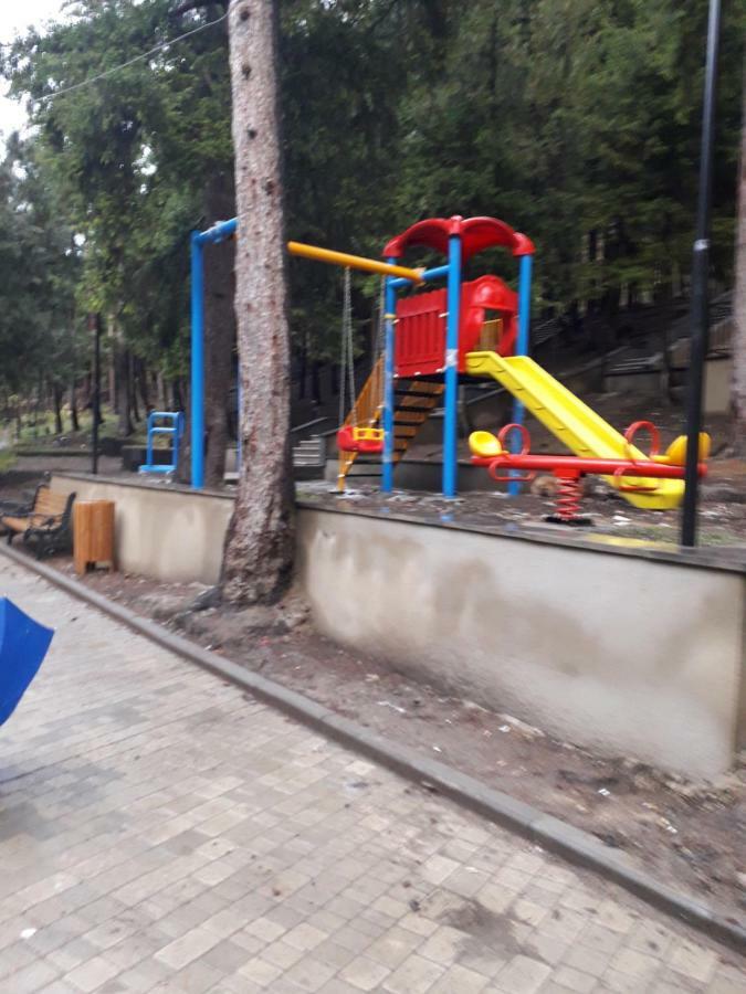 Alena'S Flat Apartment Borjomi Ngoại thất bức ảnh