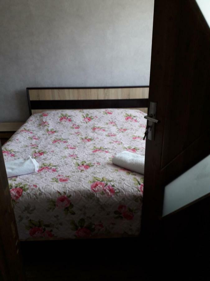Alena'S Flat Apartment Borjomi Ngoại thất bức ảnh