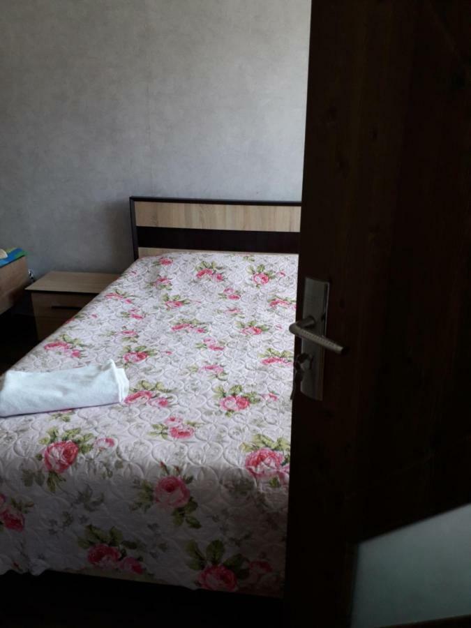 Alena'S Flat Apartment Borjomi Ngoại thất bức ảnh